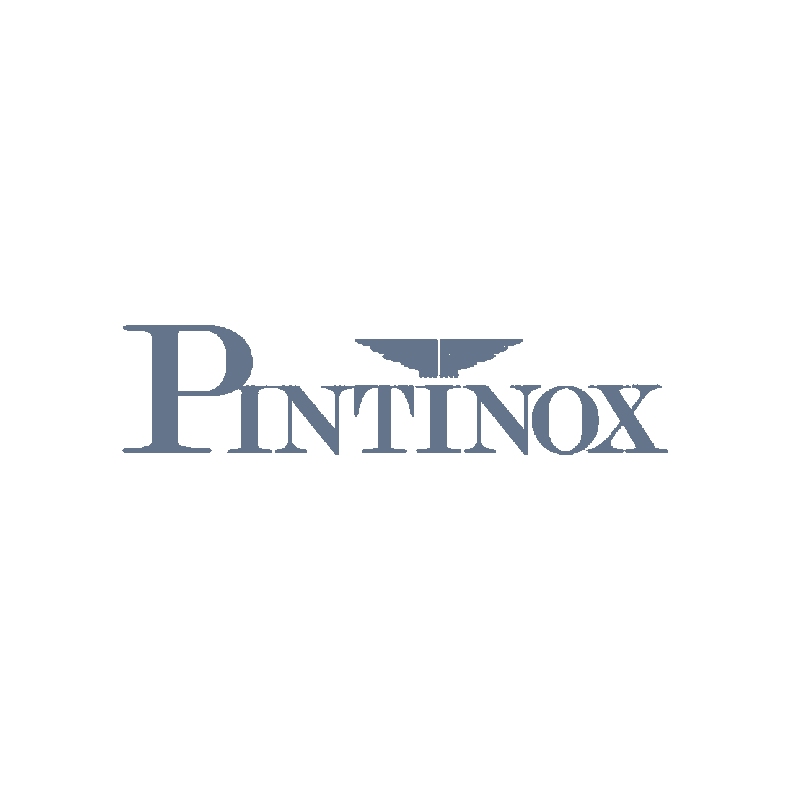 Pintinox